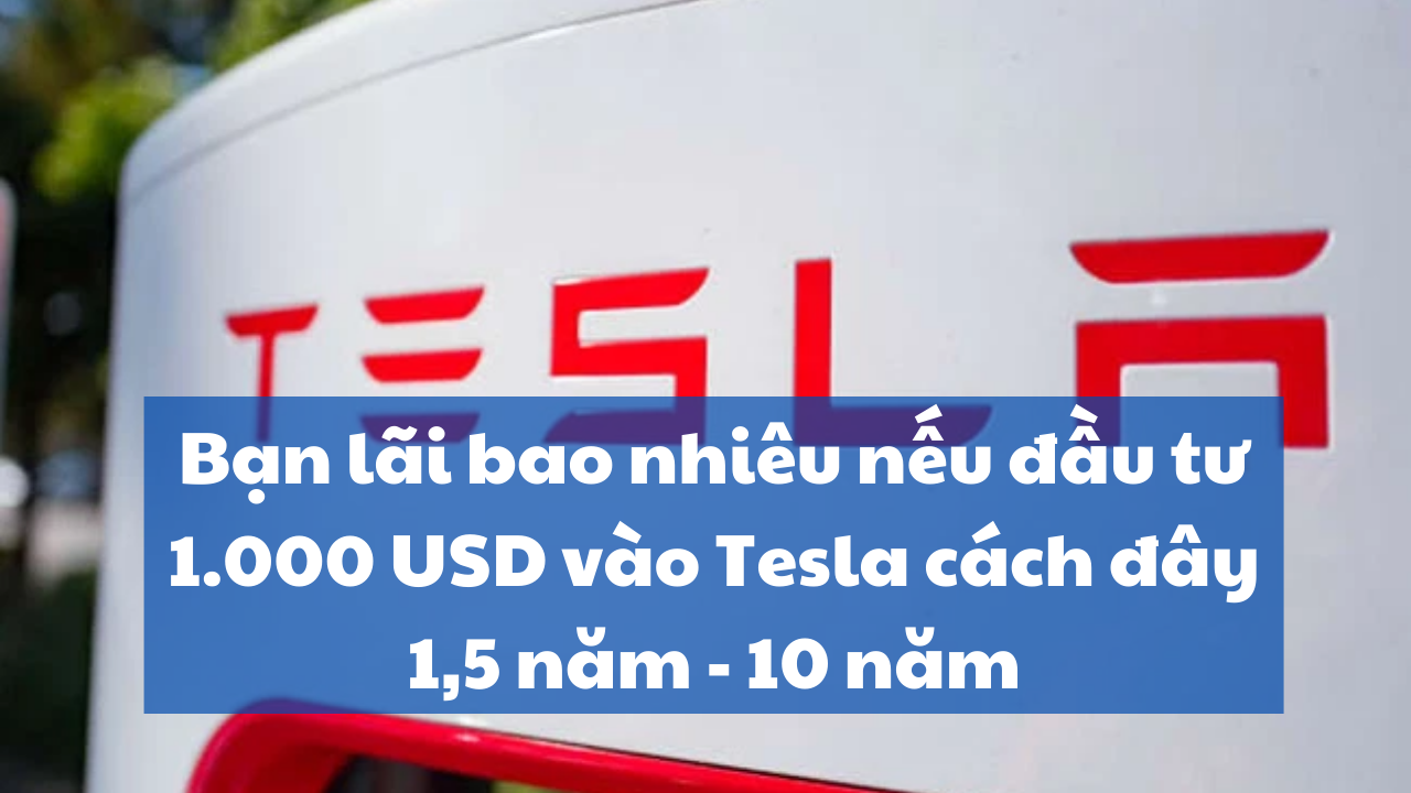 Bạn lãi bao nhiêu nếu đầu tư 1.000 USD vào Tesla cách đây 1, 5 và 10 năm